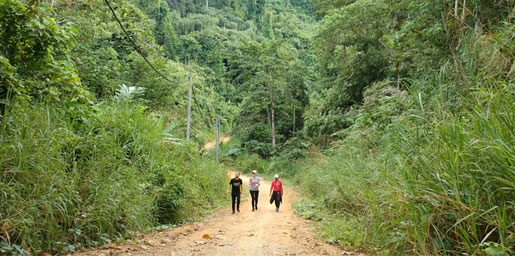 ABS students and faculty hike in a rainforest